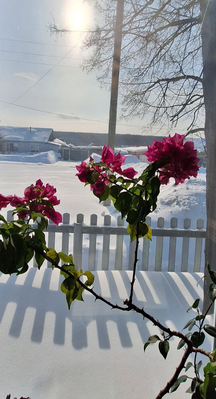 Весна на паузе: будни и борьба с простудой 🤒