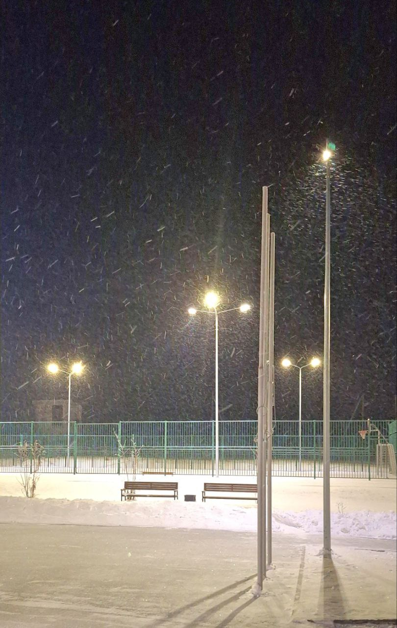 Зимний день сурка